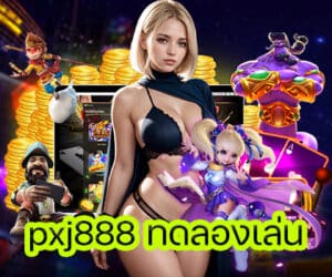 pxj888 ทดลองเล่น