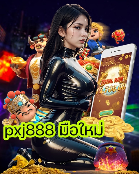pxj888 มือใหม่